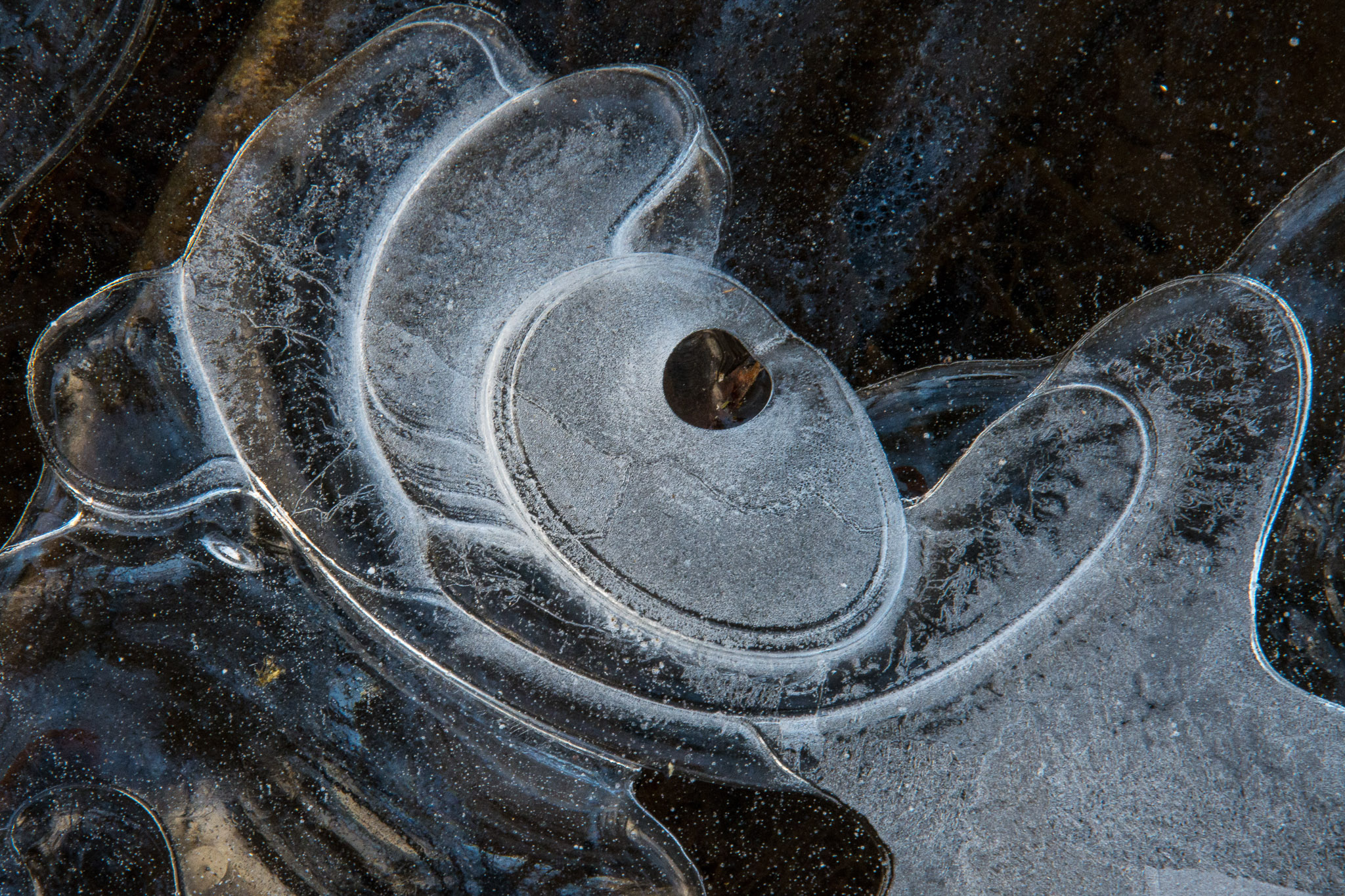 Ice forms unexpected patterns
