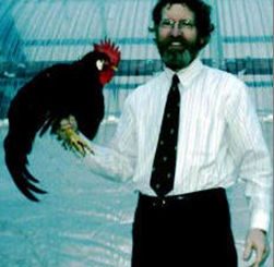 in shirt and tie, I hold a rooster
